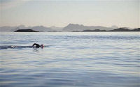 swimming holiday in the arctic