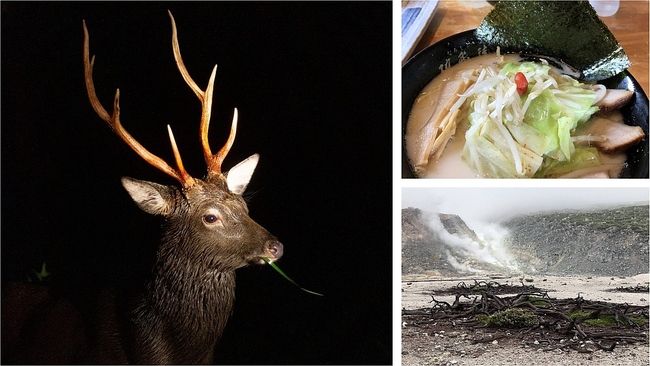 Hokkaido Collage