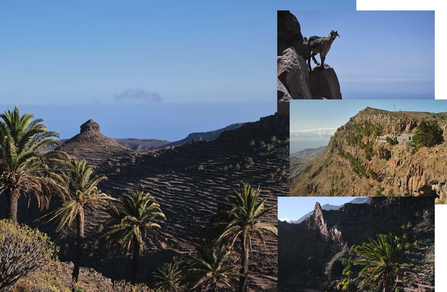 La Gomera Walking Canary Islands Hiking Adventure Dan WildeyDJWA2894 3648 Collage 3 Brown