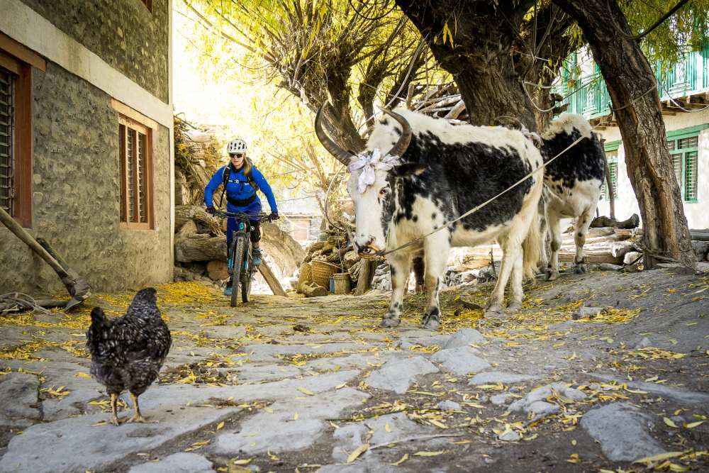 Riding through the tiny village of Falyak ©Donald Shearer.jpg