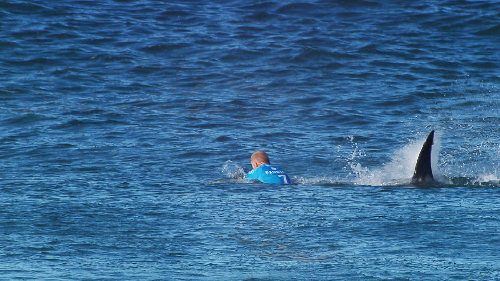 Types of Waves for Surfing Mick Fanning attacked by a shark at Jeffreys Bay in South Africa