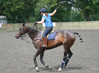 20080601_Polo