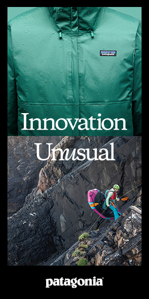 Patagonia sidebar in content Oct 26