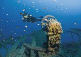 diver explores ships helm