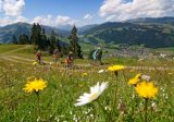 bike oberhalb zweisimmen bike8