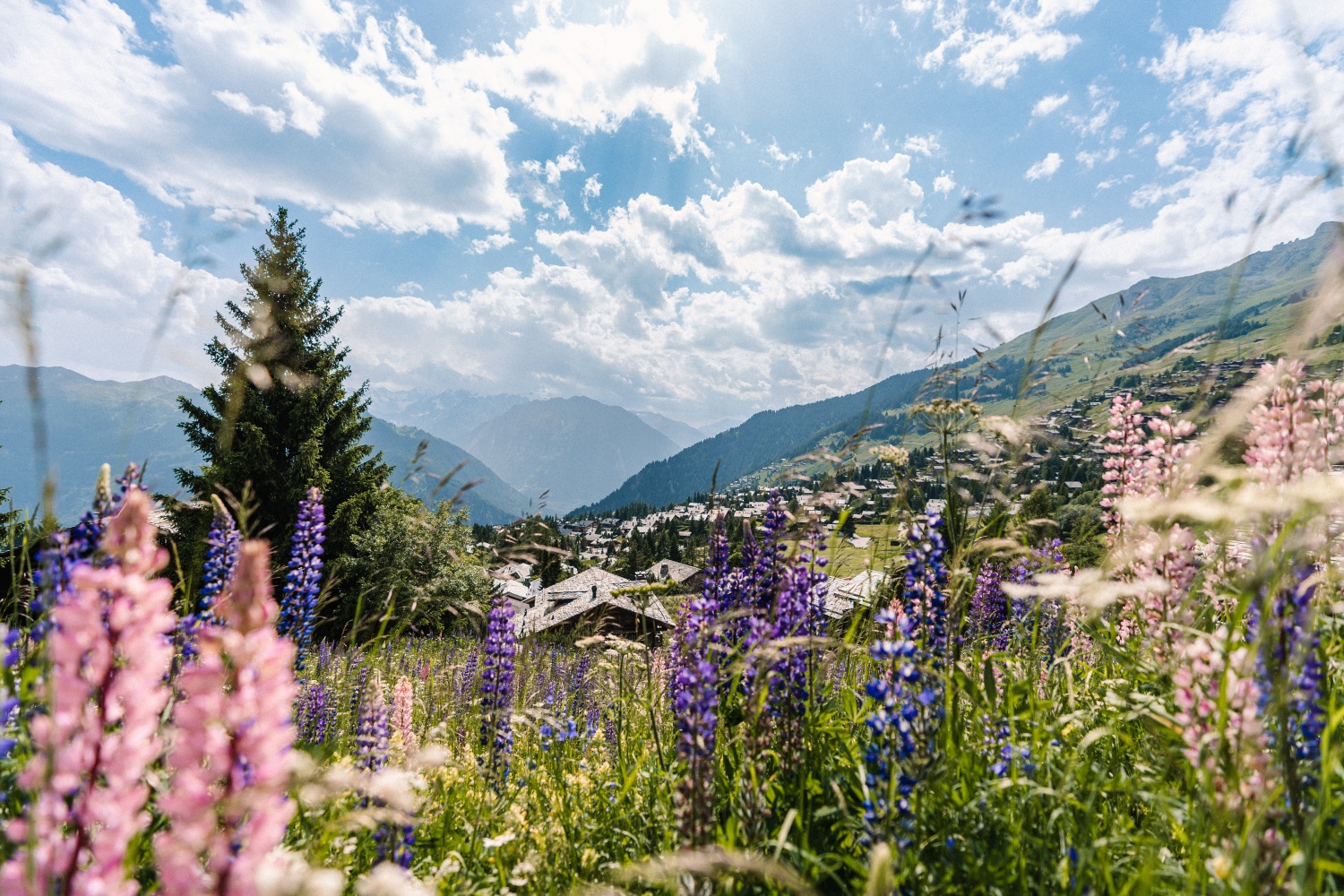verbier-switzerland