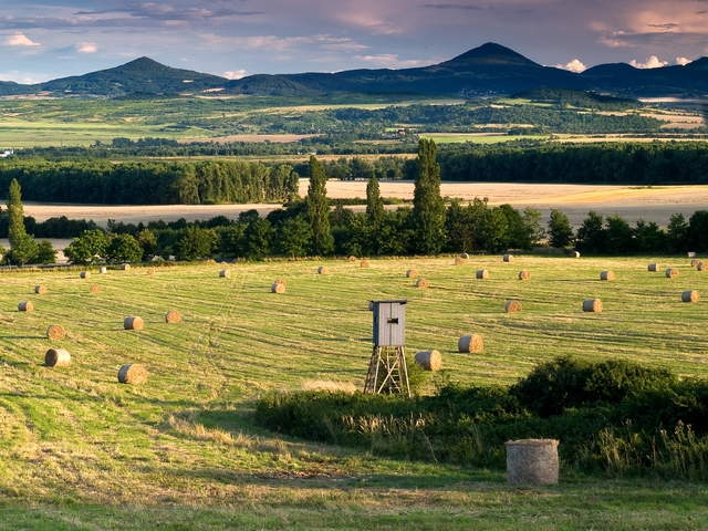 Krusne hory countrside.jpg