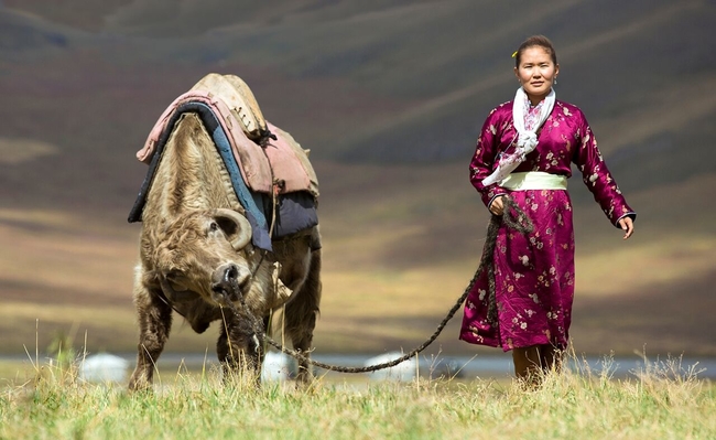 Mongolia4.jpg
