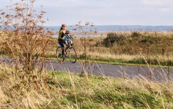 pembrokeshire cycle route