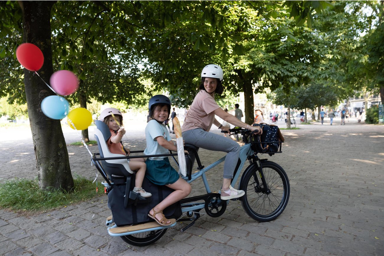 Electric Cargo Bike Rear Loading R500