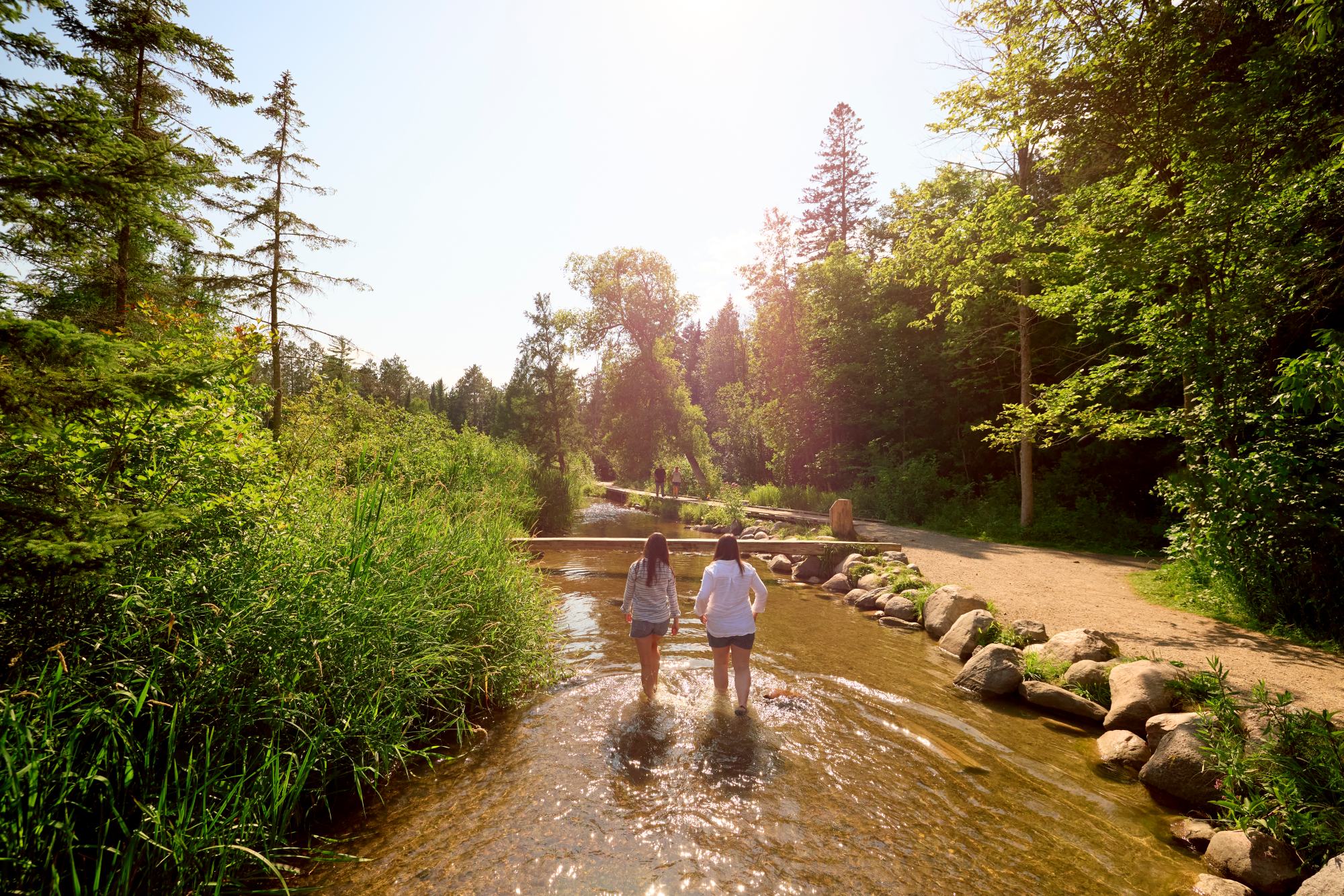 minnesota-usa