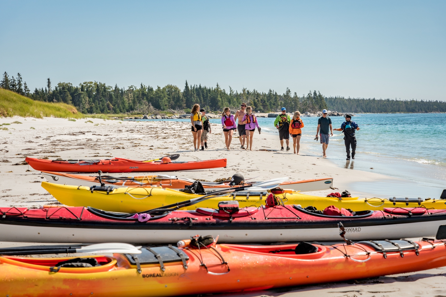 kejimkujik-national-park-seaside-nova-scotia-canada