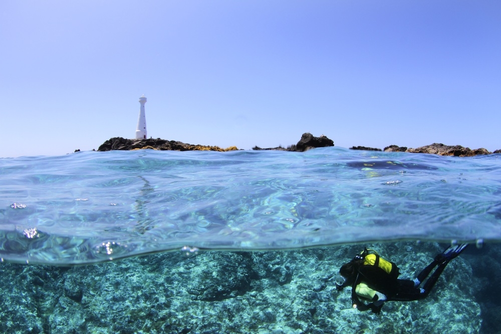 diving formigas islet azores credit ata