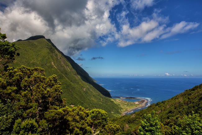 Faja da Caldeira de Santo Cristo, Sao Jorge, Azores CREDIT ATA.jpg