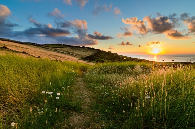 The path to paradise, Terceira, Azores CREDT ATA.jpg