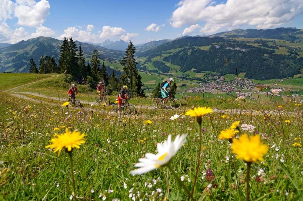 Bike_oberhalb-zweisimmen_bike8.jpg