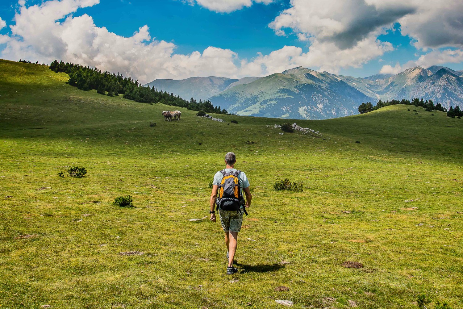Man walking through green field with mountains in background - Catalonia