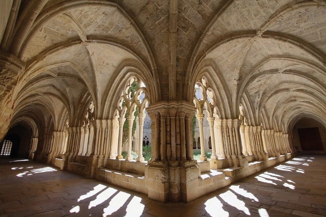 iStock-486034465.jpg