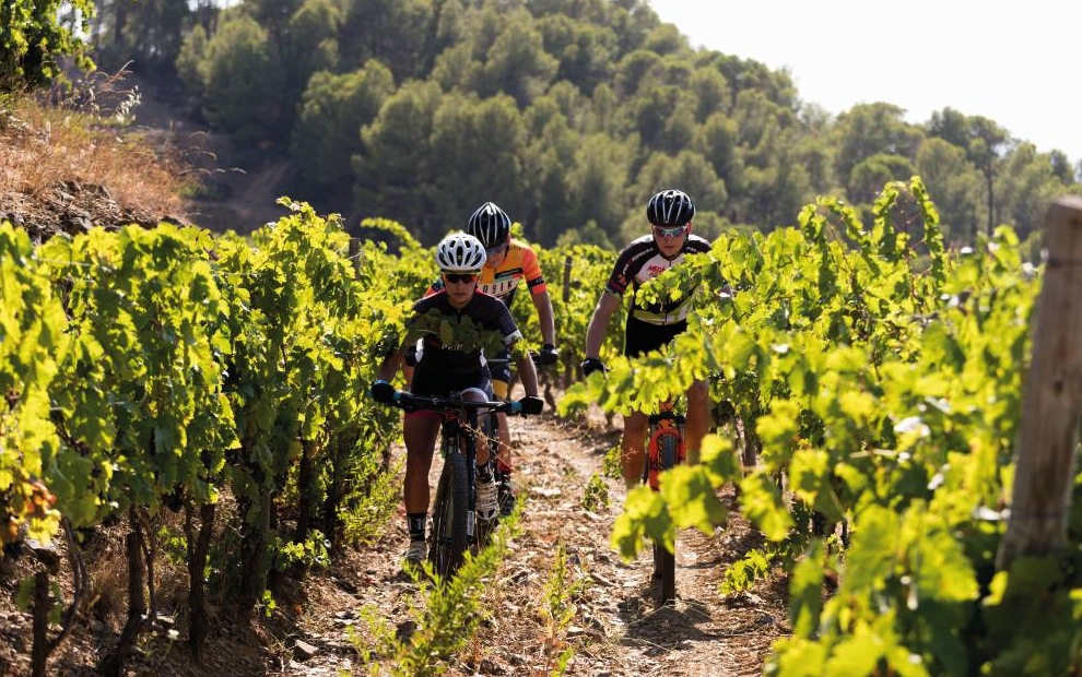 MTB Costa Daurada © José Carlos León Ercilla_.jpg