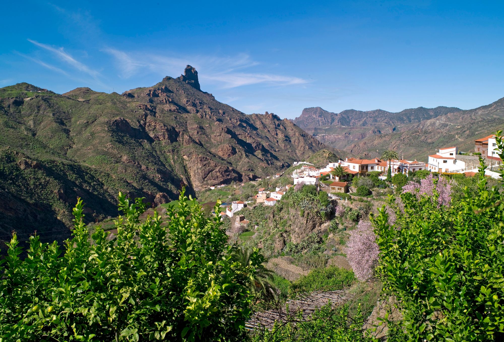 gastronomic-tour-gran-canaria