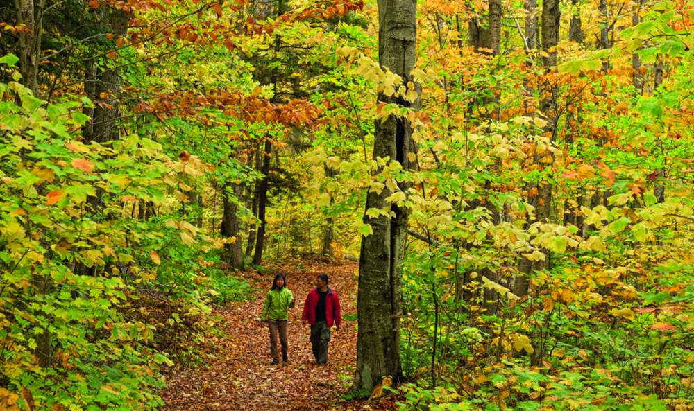 pg 23 Hike Haliburton 8992_web.jpg