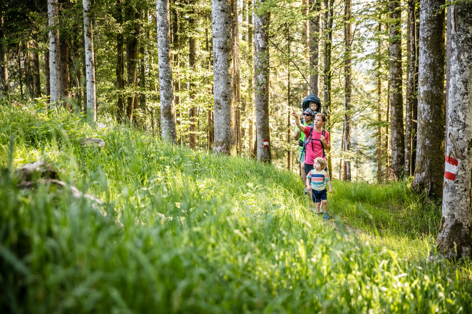 hiking-st-johann-in-tirol