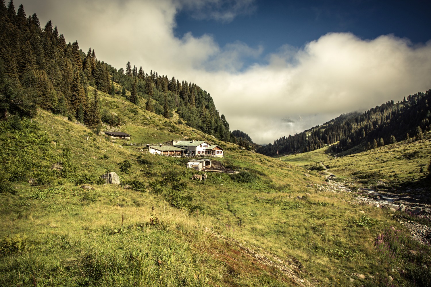 mountain-hut-st-anton