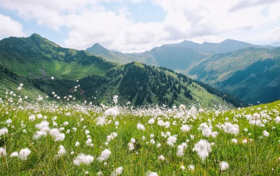 kitzbuhel landscapes austria credit kitzbuhel tourismus