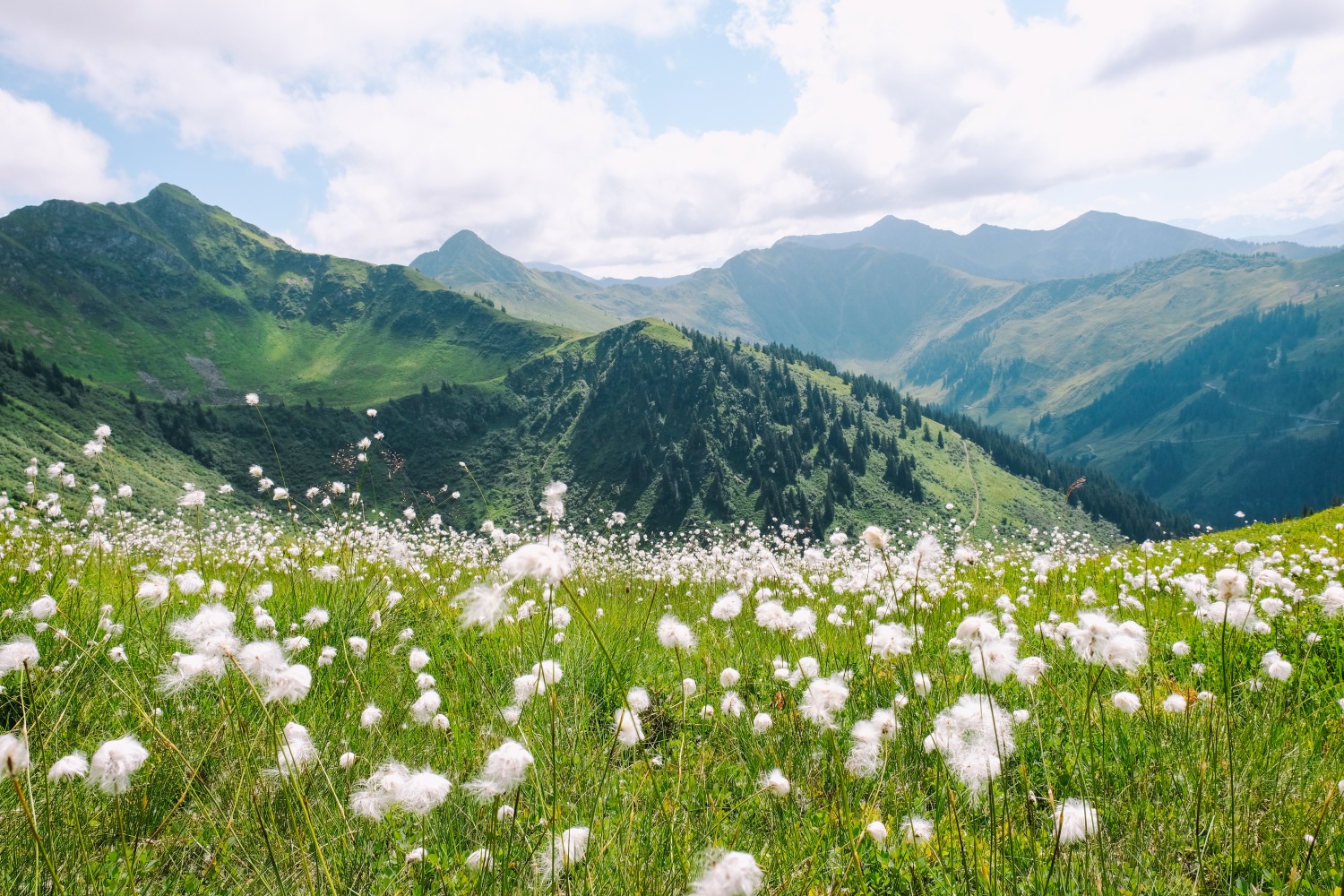 walking-Kitzbühel-austria