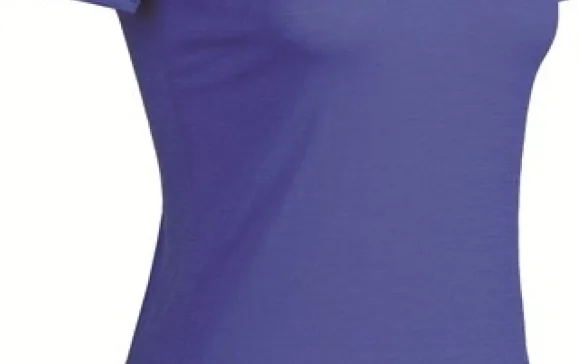 1599 icebreaker wmns sf tech v neck