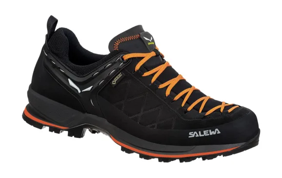 Salewa Mountain Trainer 2 GTX web