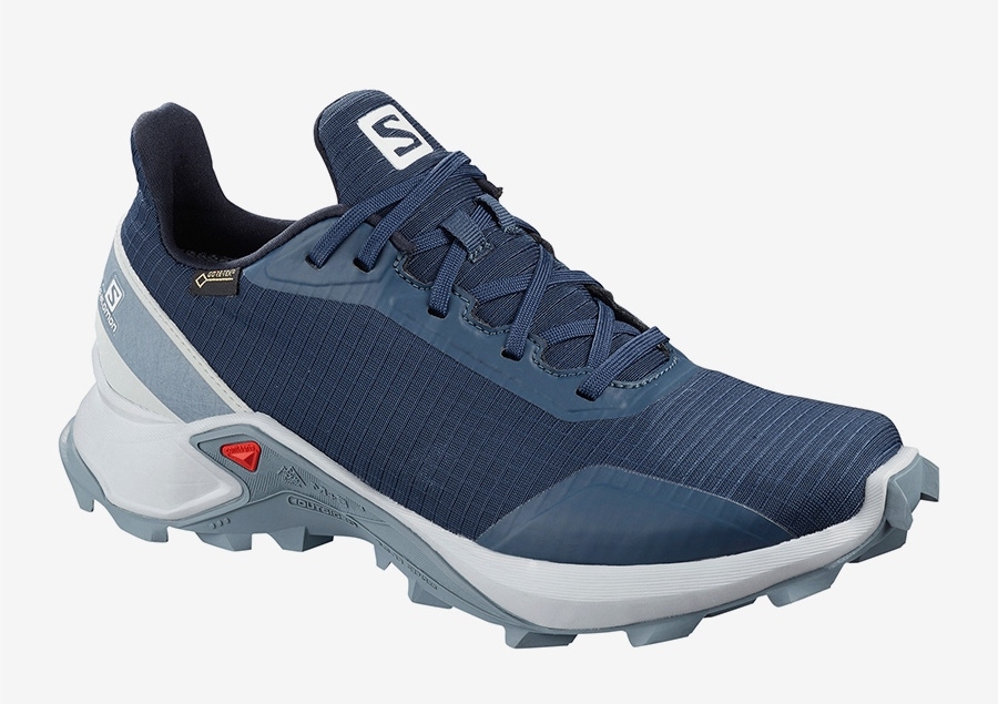 salomon alphacross gtx w