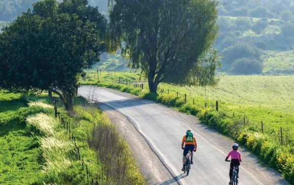 cycle touring green road