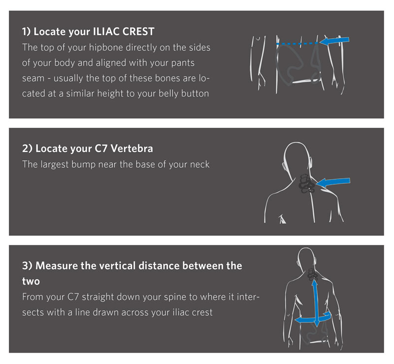 torso length