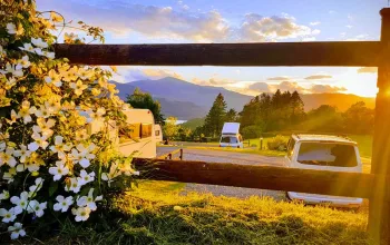 Campers parked with flowers in foreground and mountains and sunset in background  Lake District Campsites CREDIT Castlerigg Hall