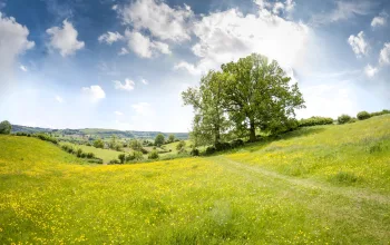 the cotswolds uk credit istock thomas bradford