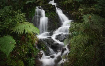Melincourt Falls Neath Port Talbot Wales