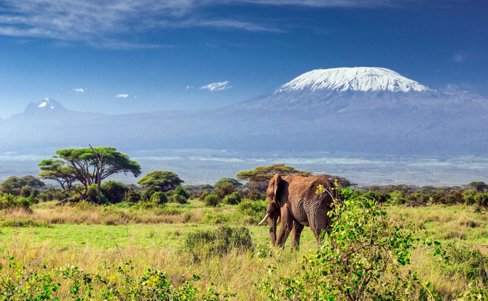 Mt Kilimanjaro Africa