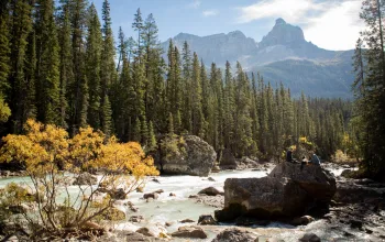 River in Yoho National Park near Golden BC Canada CREDIT Abby Cooper