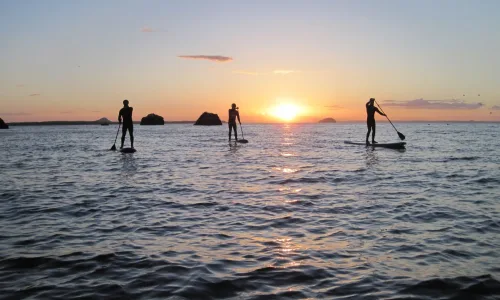 HEADER   SUP at twilight East Lothian Watersports Visit East Lothian