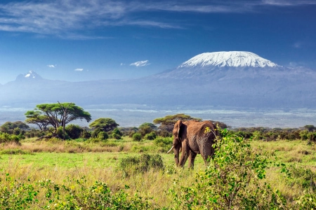 Mt Kilimanjaro Africa