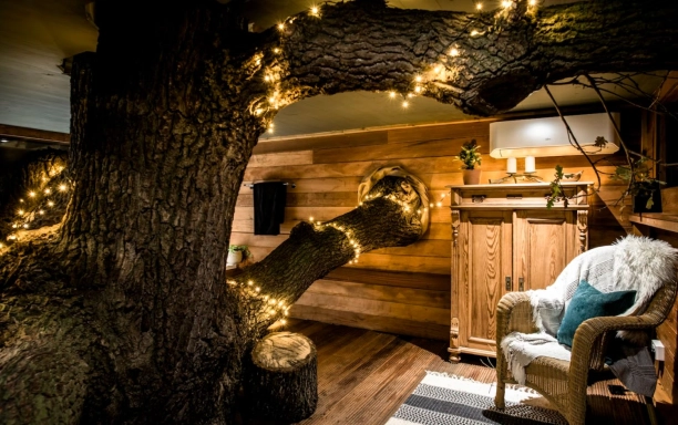 treehouse living with tree with fairy lights growing through it top ten treehouses credit coolstays