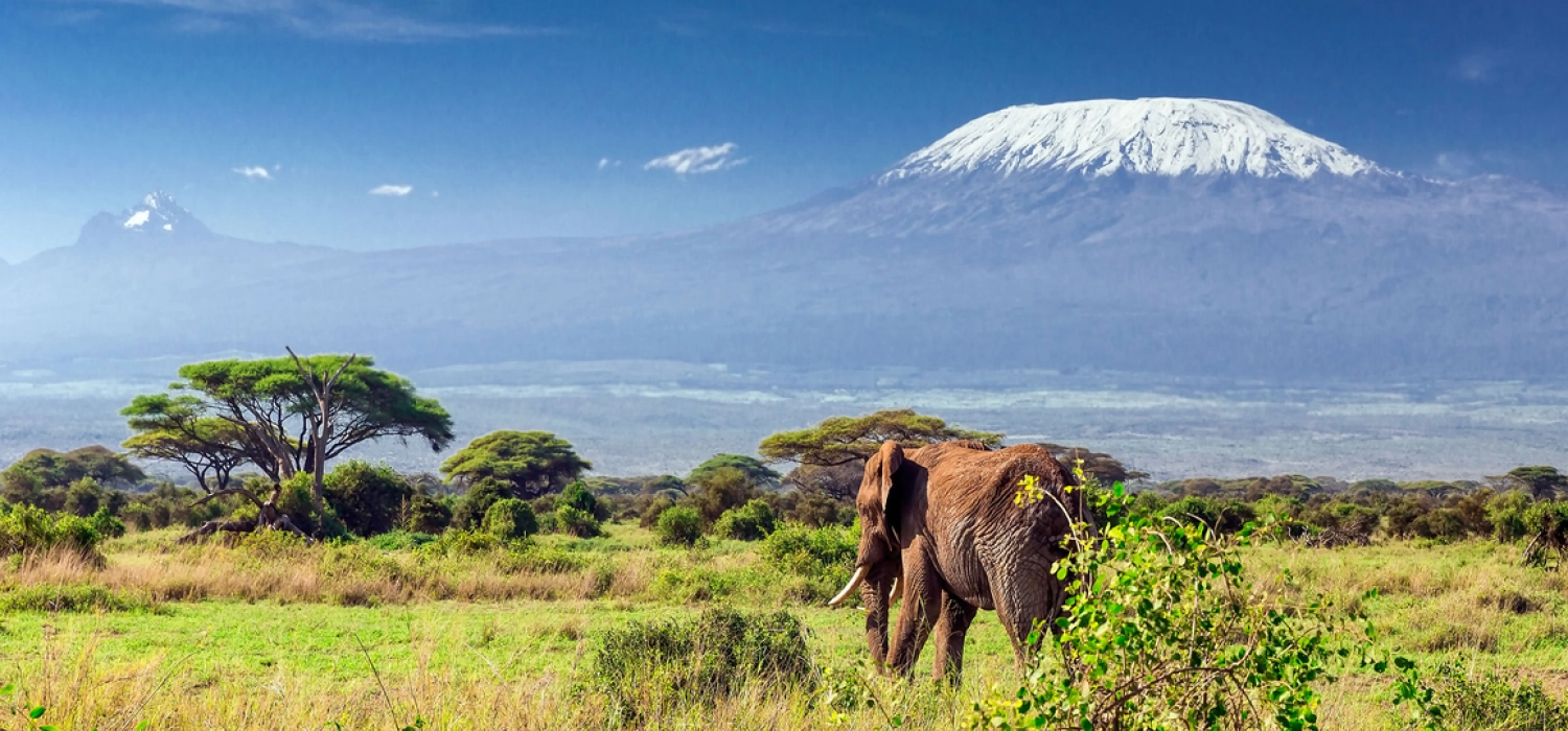 Mt Kilimanjaro Africa