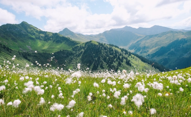 kitzbuhel landscapes austria credit kitzbuhel tourismus