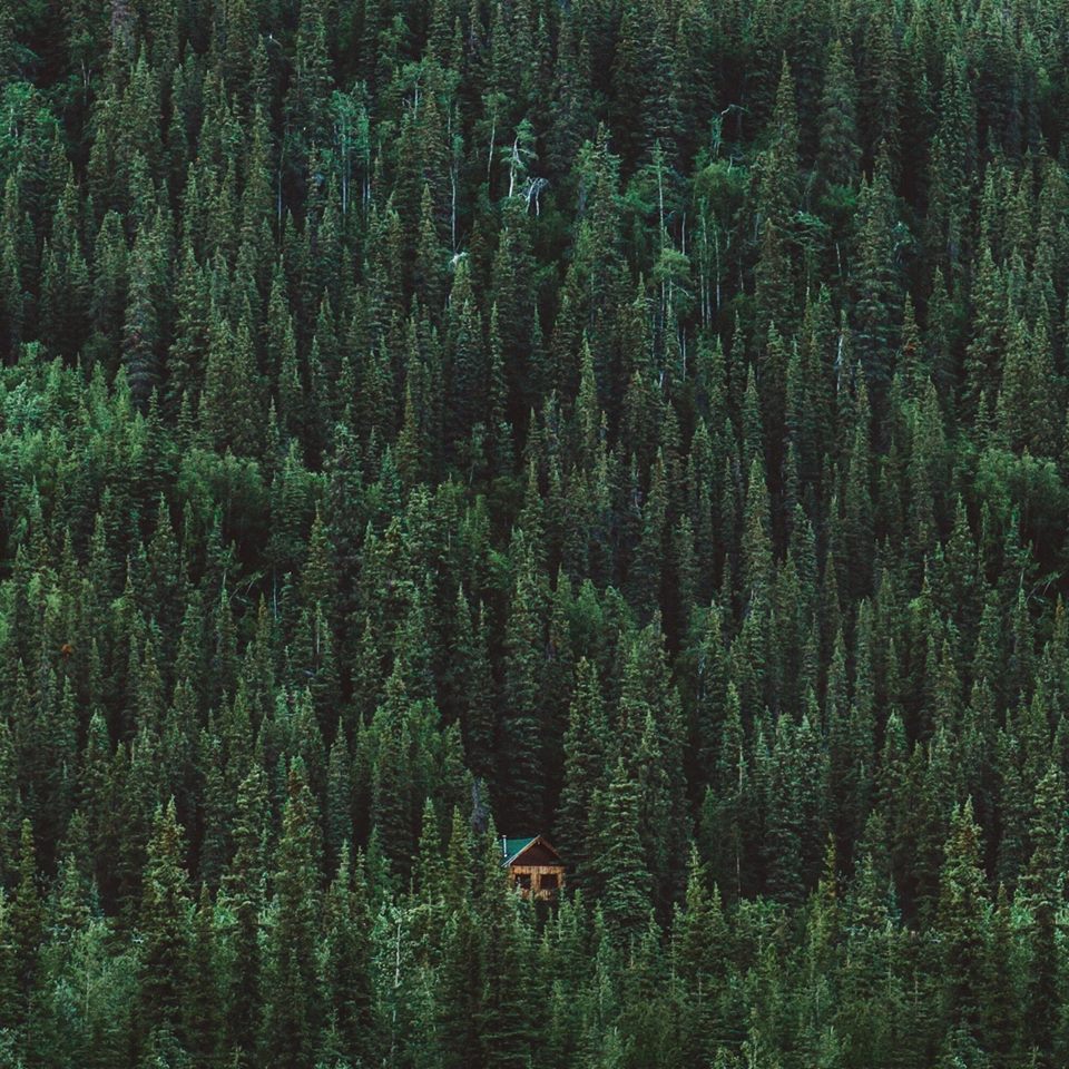 23 Isolated Dream Houses That Will Give You Serious Wanderlust 24