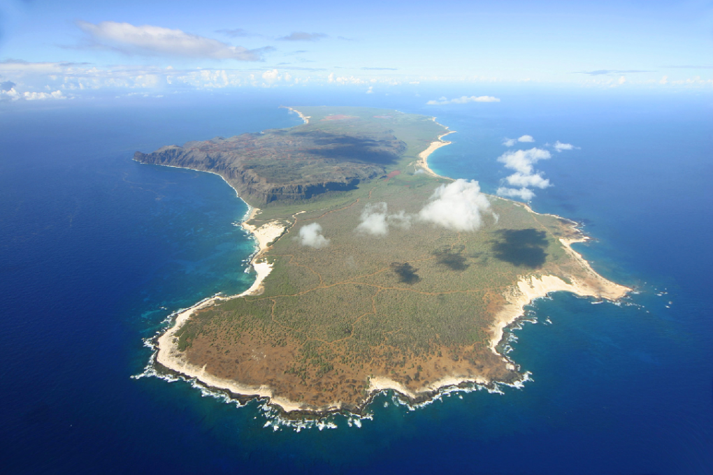 2 nihauu