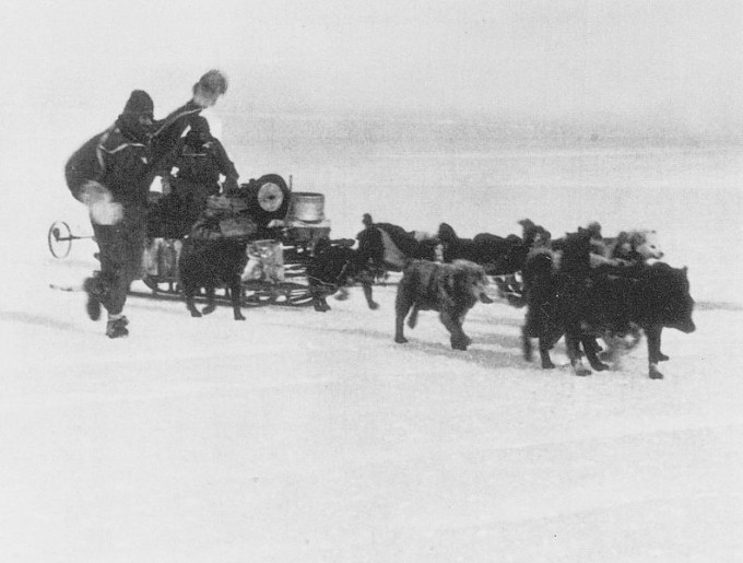 Belgrave Ninnis and Xavier Mertz with a dog team before things started to go wrong. Photo: Wikipedia