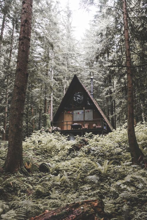 23 Isolated Dream Houses That Will Give You Serious Wanderlust 3