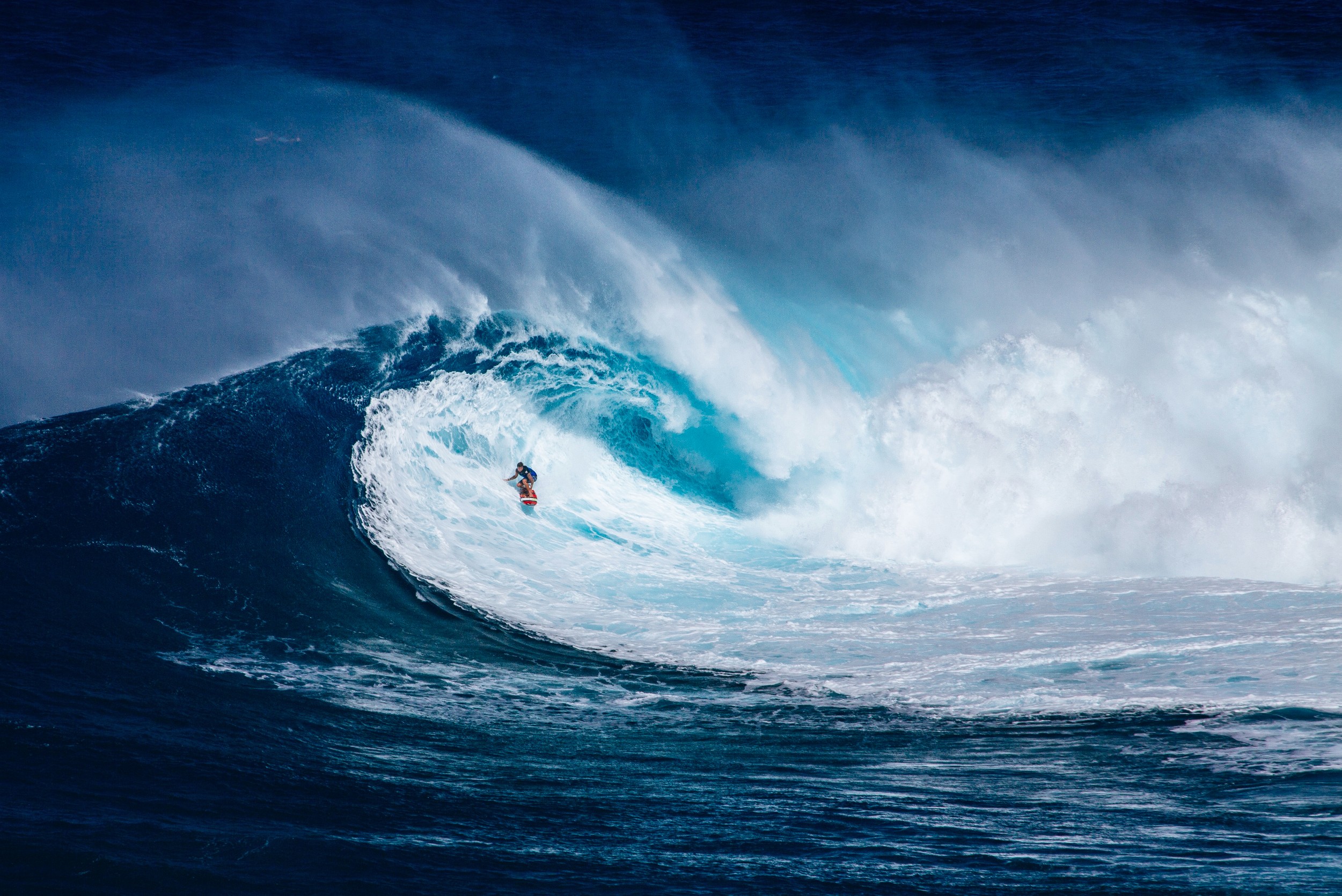 surfing puns 2