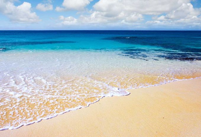 Credit: Ascension Island Government